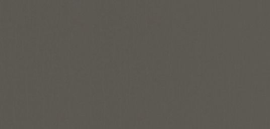 Quartz Grey ap88