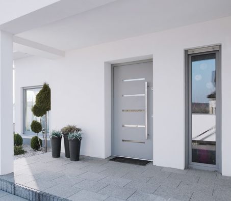 Windows and doors in one style